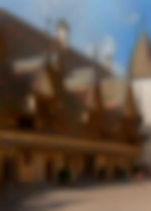 Les Hospices de Beaune, l'Hôtel-Dieu