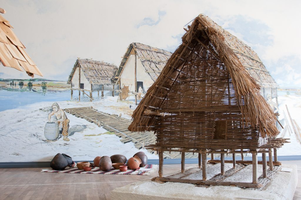 Reconstitution des premières populations à Clairvaux-les-lacs