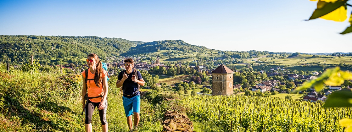 un voyage dans les vignes