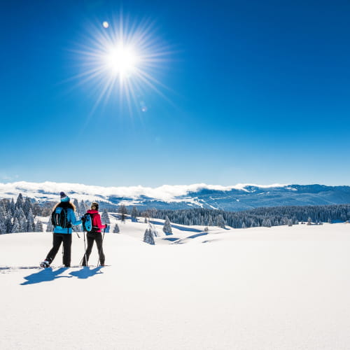 Randonnée raquettes dans les Montagnes du Jura