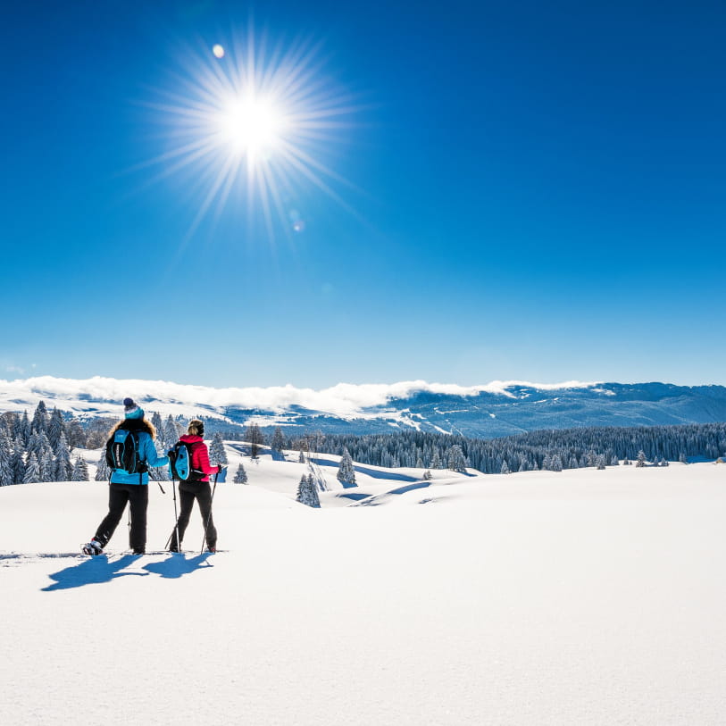 Randonnée raquettes dans les Montagnes du Jura