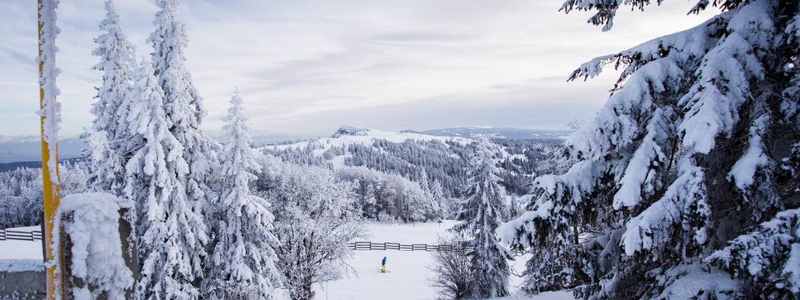 Station de sport d'hiver