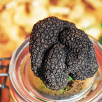 Truffe de Bourgogne