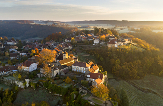 un voyage dans les vignes