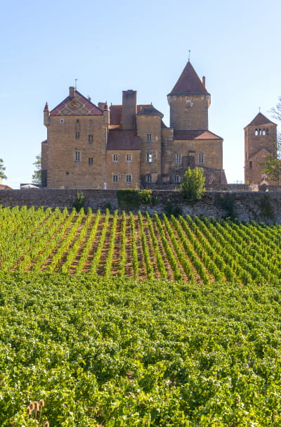 Château de Pierreclos dans le vignoble du Maconnais