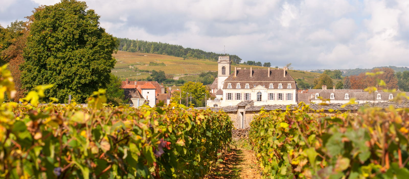 CHATEAU DE POMMARD
