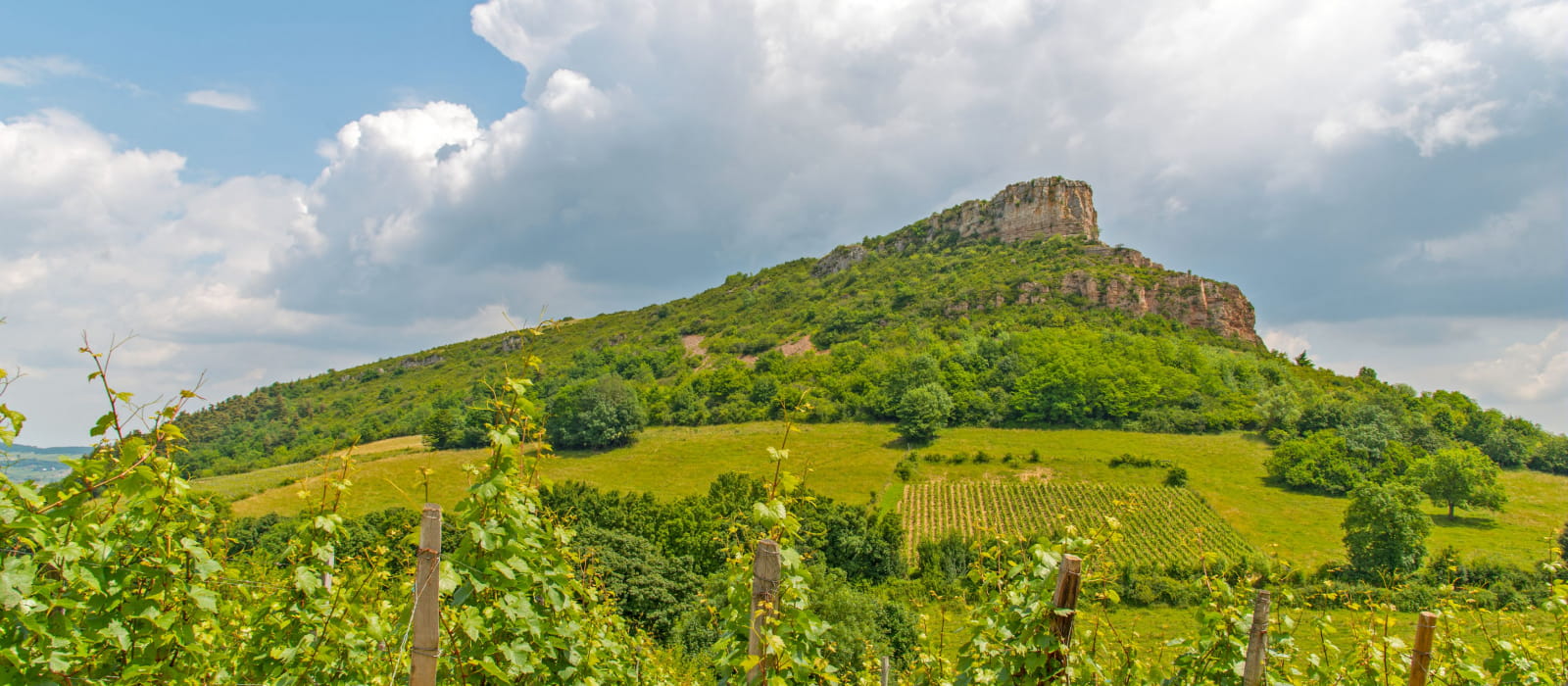 La Roche du Solutré et son vignoble