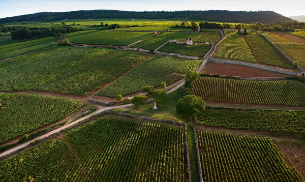 Les Climages du vignoble de Bourgogne - Meursault