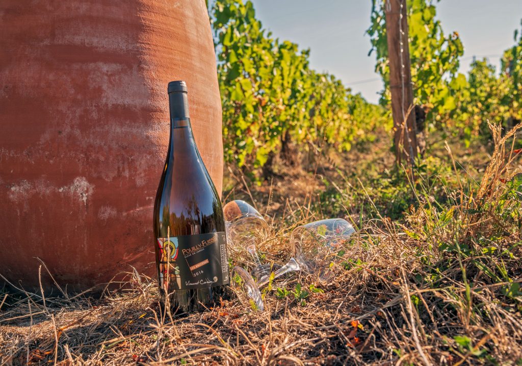 Domaine Cornin Vincent, vignoble du Mâconnais