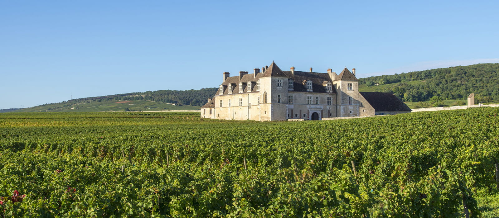 Château du Clos de Vougeot