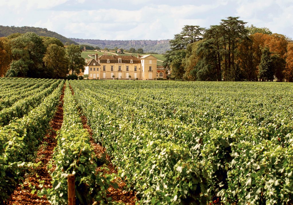Vignoble du Château de Meursault