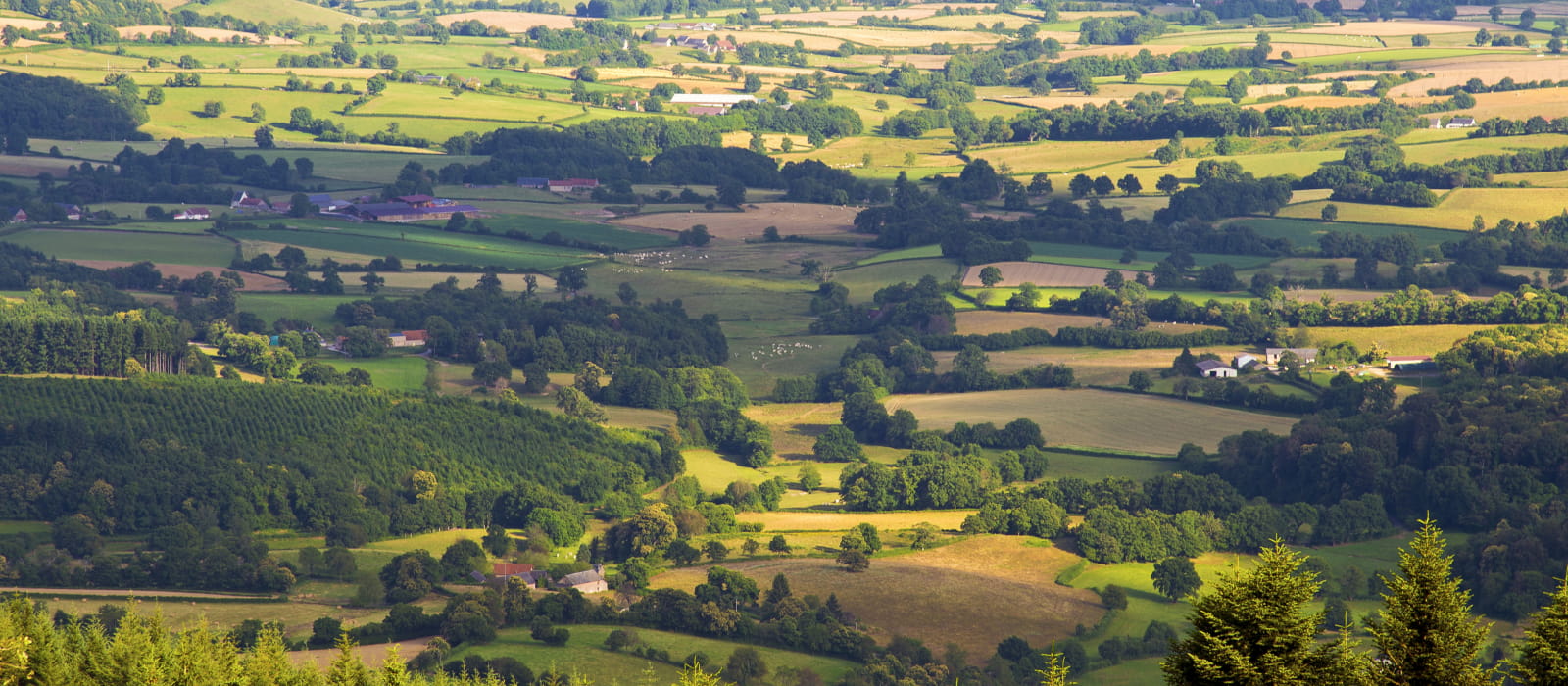 Vue de Bibracte depuis le Mont Beuvray