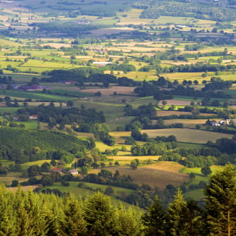Vue de Bibracte depuis le Mont Beuvray