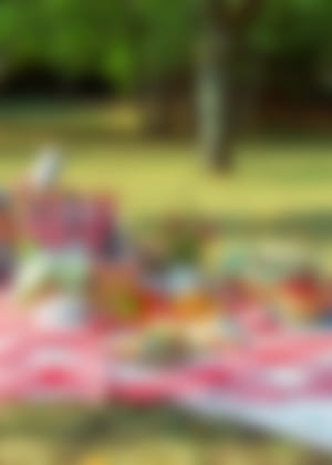 Fantastic Picnic