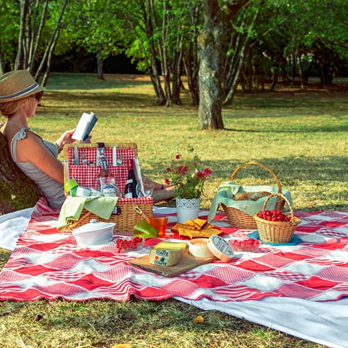 Fantastic Picnic
