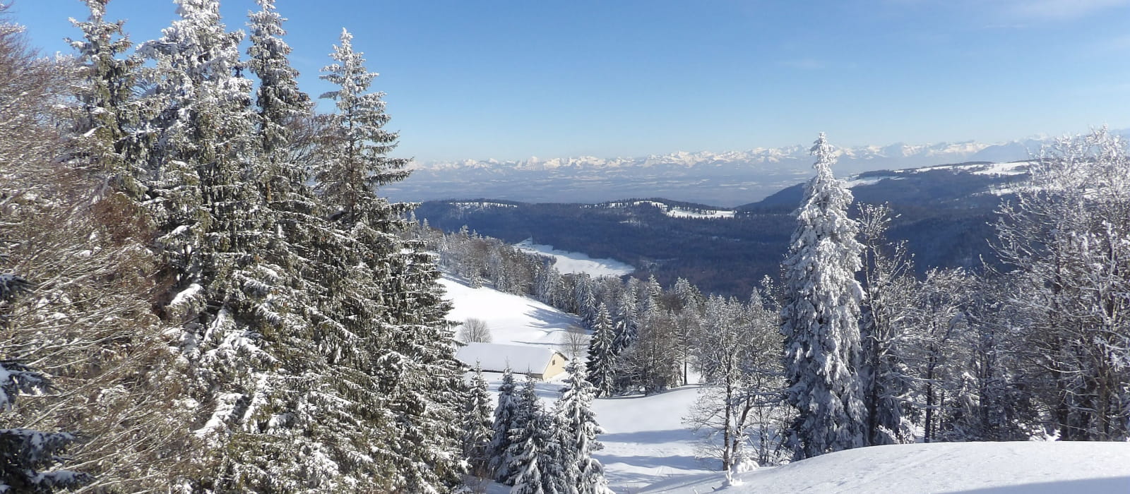 Site nordique Mont d'Or Deux Lacs (vue depuis la cabane de la Gym)