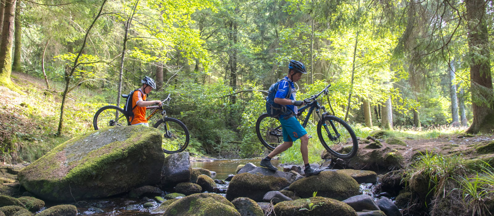 VTT dans le Morvan
