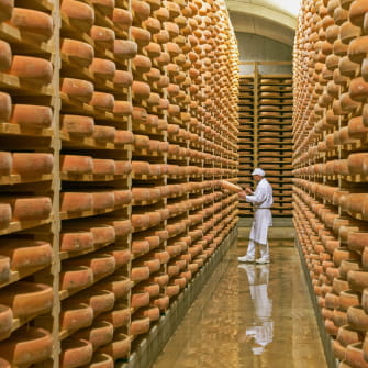 Cave du Fort Saint Antoine Fromagerie Marcel Petite