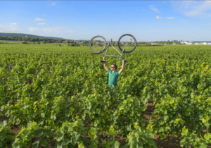  Vélo dans les vignes 