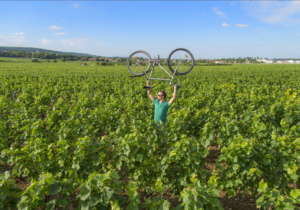 Vélo dans les vignes