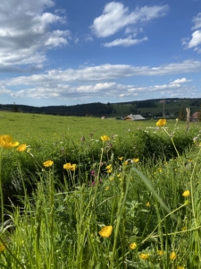 Vue sur le village des Longevilles-Mont-D'Or depuis le sentier VTT "Les Seignots"