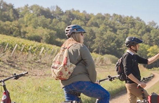 un voyage dans les vignes