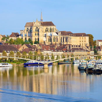 un voyage dans les vignes