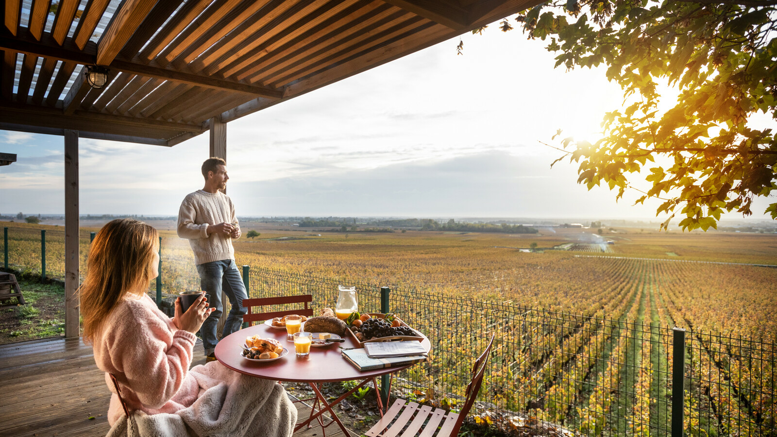 un voyage dans les vignes