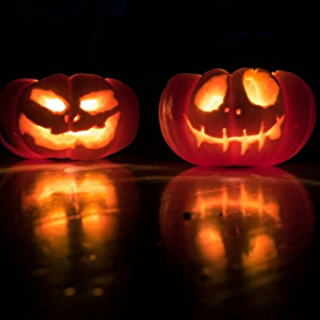 Halloween - SENS