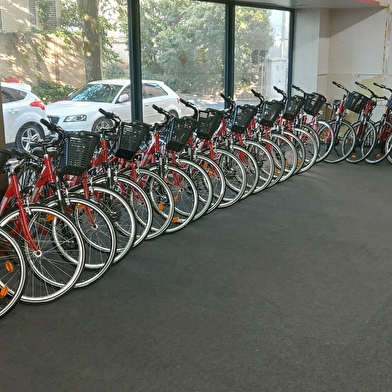 Vélo Taxi Bikes