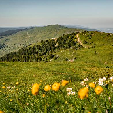 Grande Traversée du Jura à pied : De Culoz à la Borne au Lion
