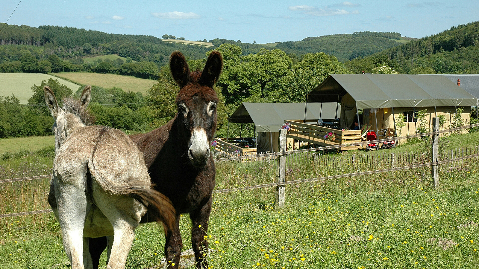 Camping à la Ferme 'Morvan Rustique'