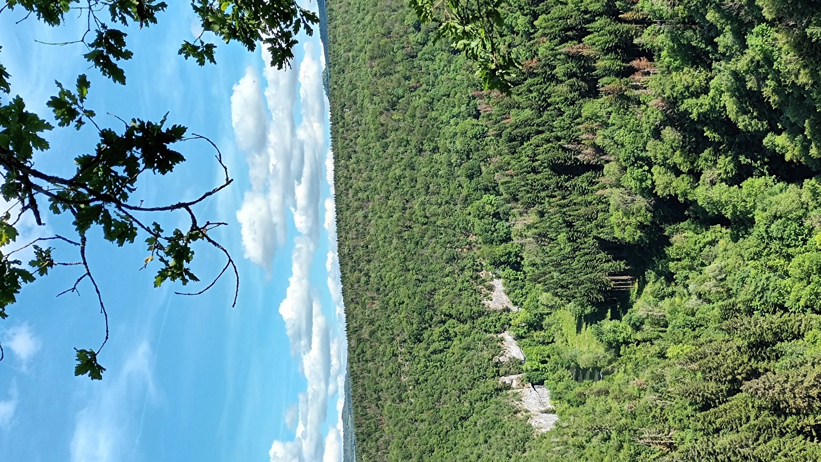 La Gauloise