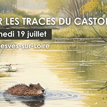 Sur les traces du castor - MESVES-SUR-LOIRE