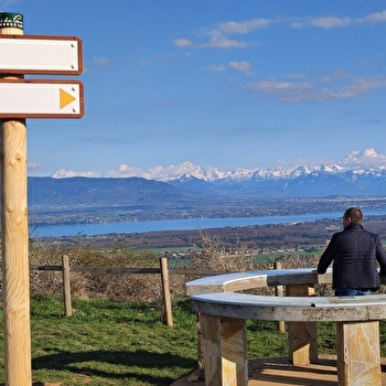 Randonnée pédestre : Grilly - le Mont Mourex - GRILLY