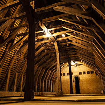 En IntimiDrée, visite insolite du château de Drée - CURBIGNY
