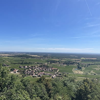 Entre vignes et bocages