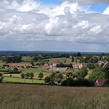 CHAMPLECY - CHAMPLECY