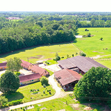 Domaine de la Loge - Loisirs de pleine nature