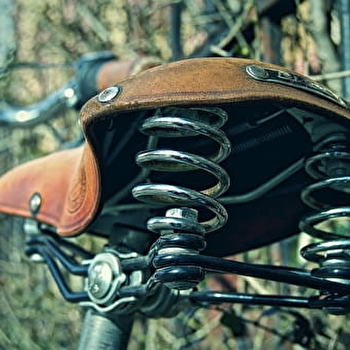 Concours de vélos fleuris - CHAMPIGNELLES