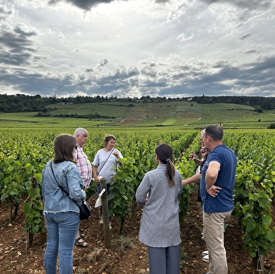 After Work autour des 1er crus de Beaune