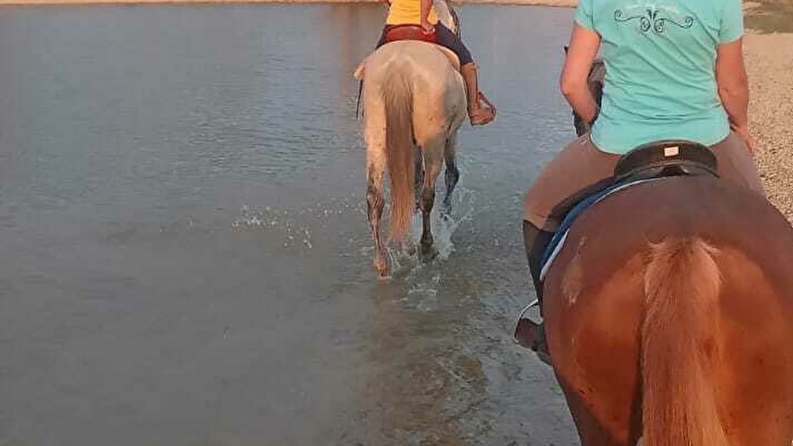 En EQUI-LIBRE - Balade à cheval autour de Beaune