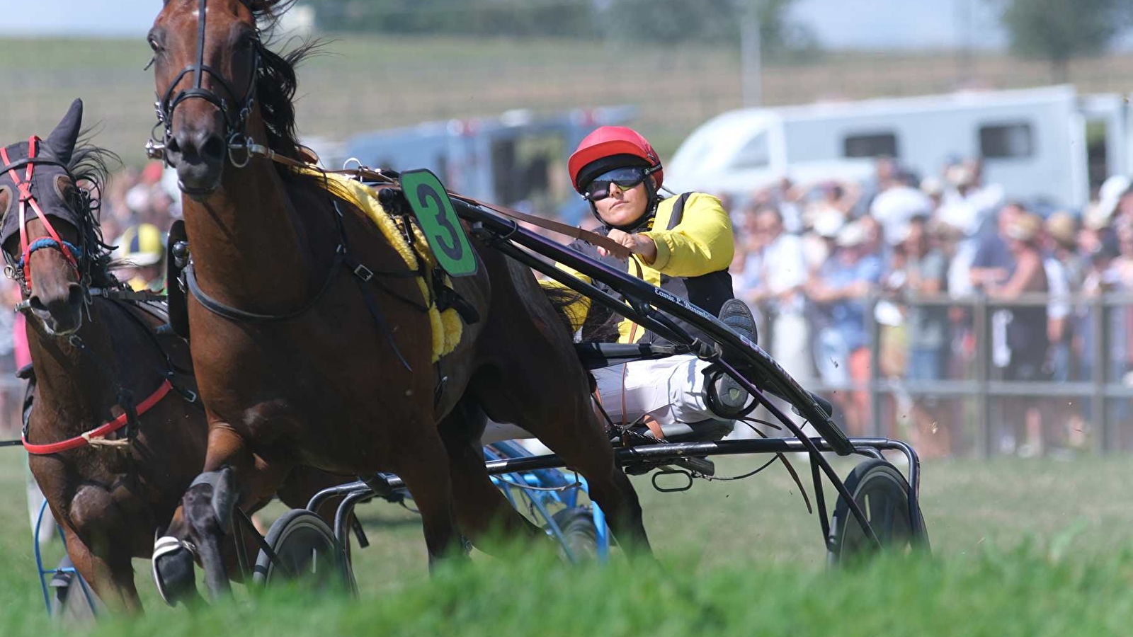 Courses Hippiques