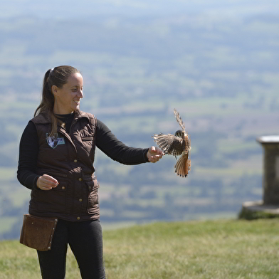 Week-end 'détente et reconnexion avec la nature'