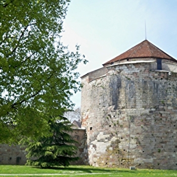 Château Louis XI - AUXONNE
