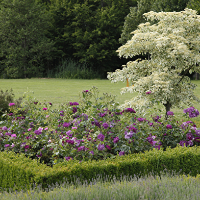 Jardin de La Borde