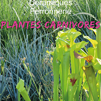 PRINTEMPS - LUGNY-LES-CHAROLLES