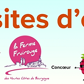 Visites d'été à la ferme Fruirouge© - NUITS-SAINT-GEORGES