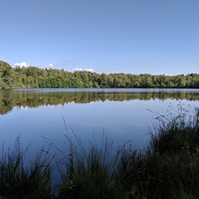 Étang de la Grande Chaussée