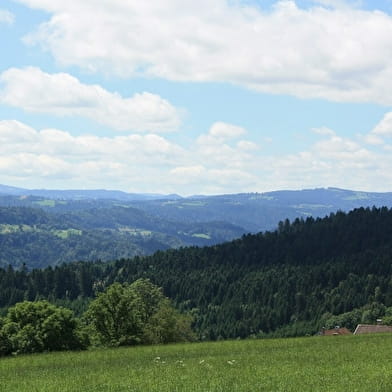 Point de vue le Seud